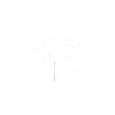 LIGHTSPEED
