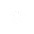 LIGHTSPEED