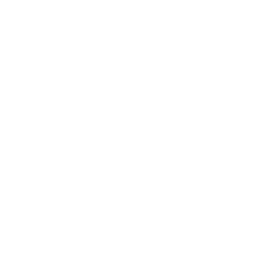 LIGHTSPEED WIRELESS